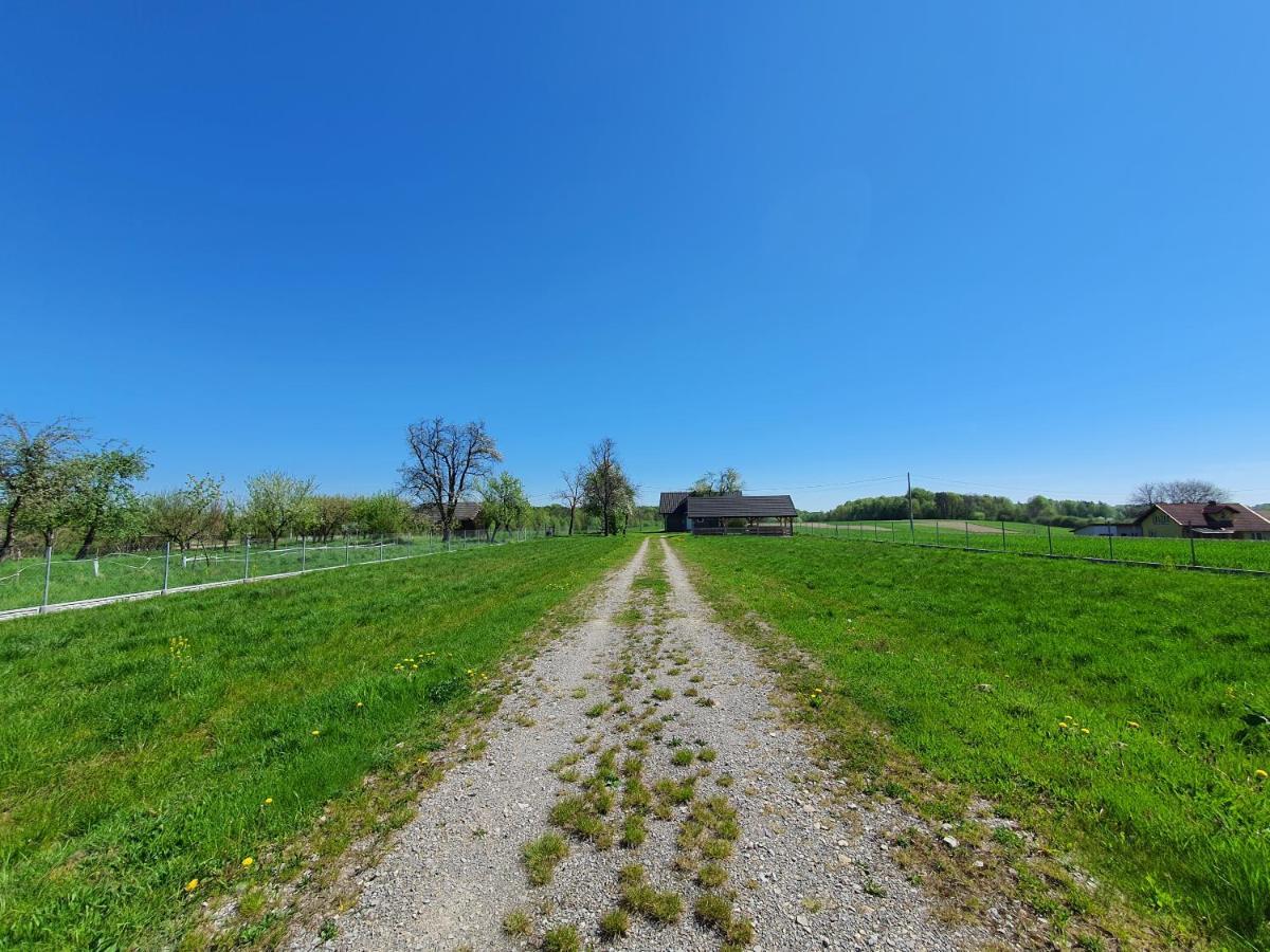 Zielone Zagrody - Stafieje Vila Grodzisko Dolne Exterior foto